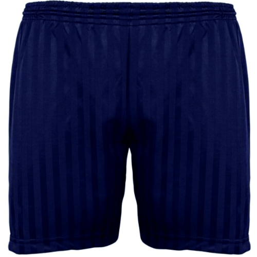 Middlezoy School Adult Navy Shorts