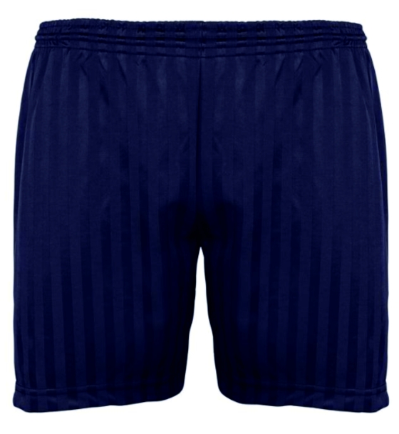 Middlezoy School Adult Navy Shorts