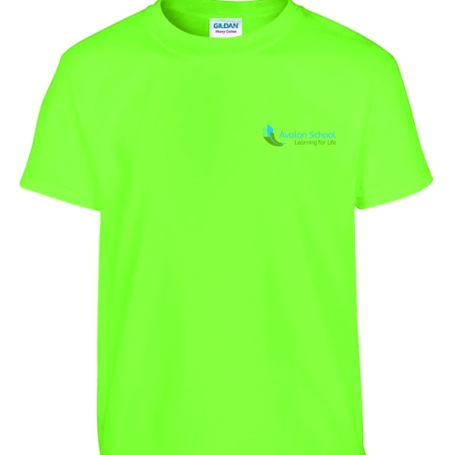 Avalon School - Adult’s T Shirt – Lime
