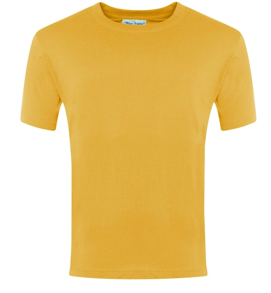 Enmore Primary School Banner Champion T-Shirt - Kids