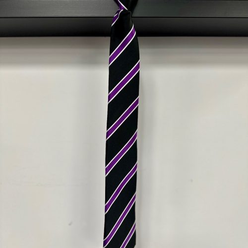 Monkton Wood Tie - Purple / Hanover House