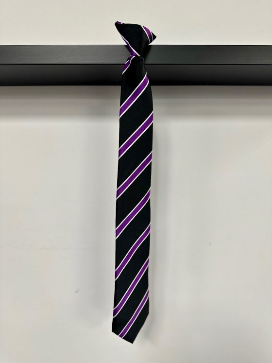 Monkton Wood Tie - Purple / Hanover House