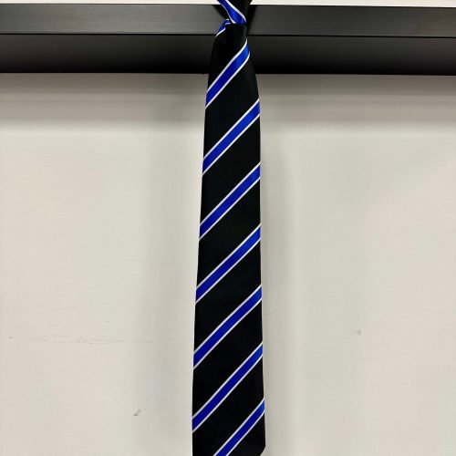 Monkton Wood Tie - Blue / Stuart House