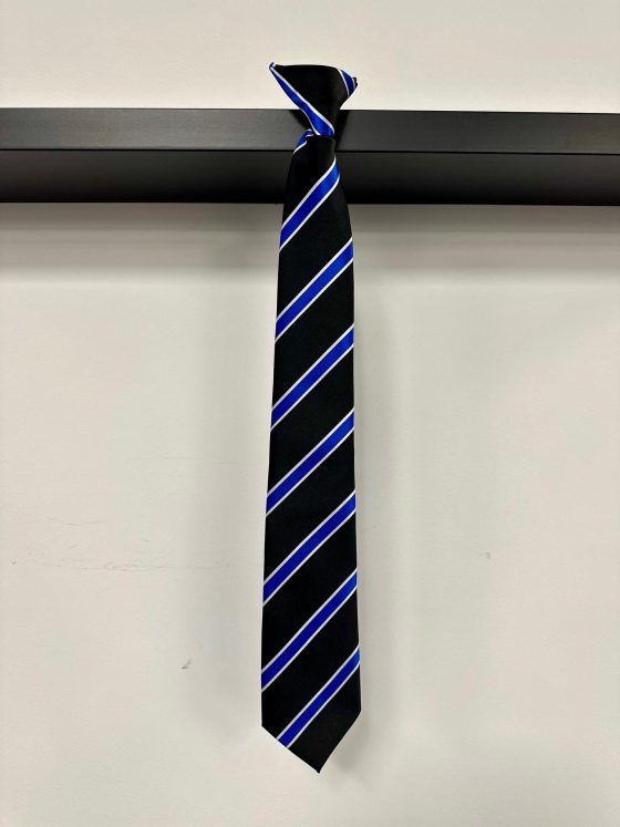 Monkton Wood Tie - Blue / Stuart House