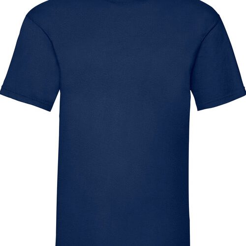 Phoenix Group, Adult T Shirt Navy or Purple SS28