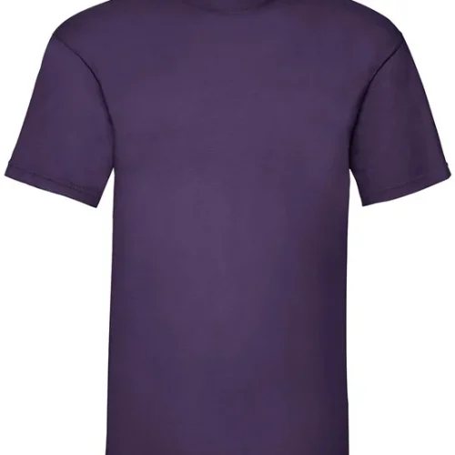 Phoenix Group, Childrens T Shirt, Purple SS132