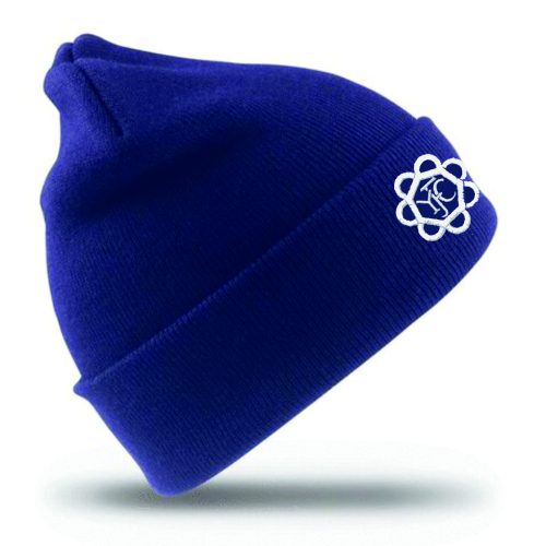 Somerset YFC Beanie, Royal - RC029