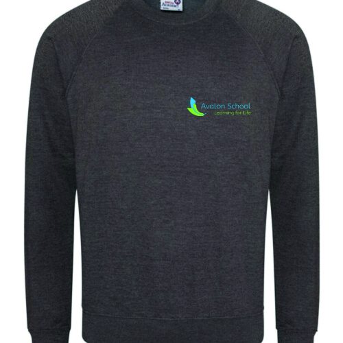 Avalon School - Sweatshirt - Charcoal