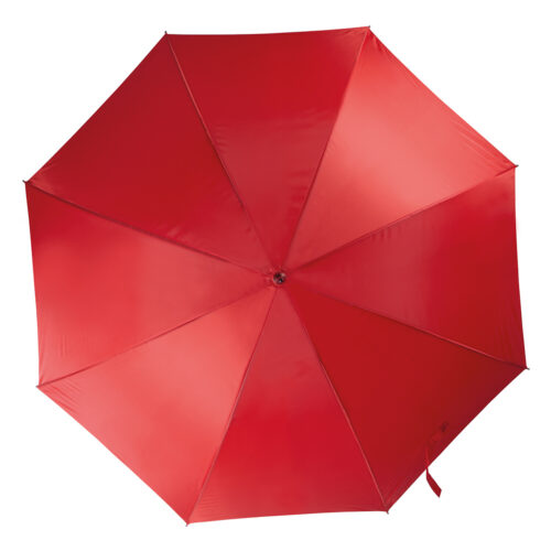 Automatic umbrella