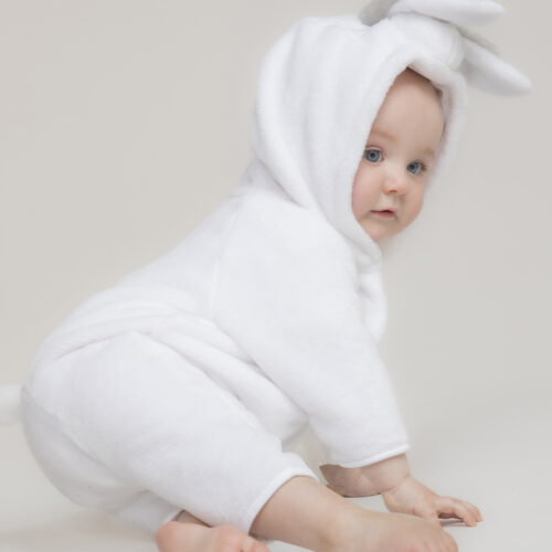Rabbit all-in-one 