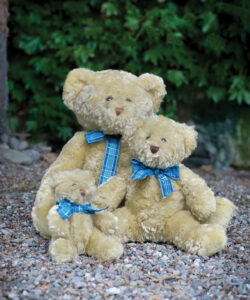 Bracken bear