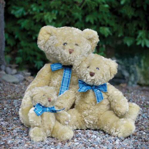 Bracken bear