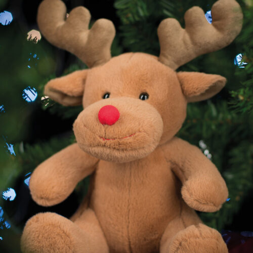 Reindeer