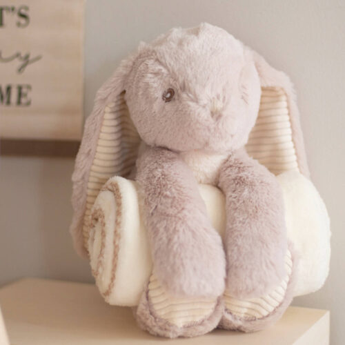 Rabbit and blanket