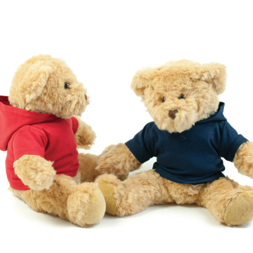 Teddy hoodie