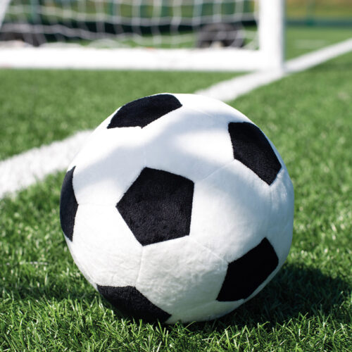 Zippie football
