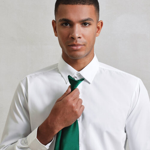 Colours' satin clip tie