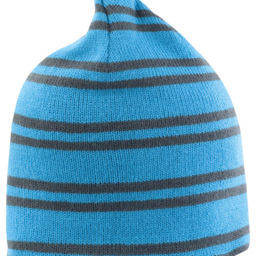 Team reversible beanie